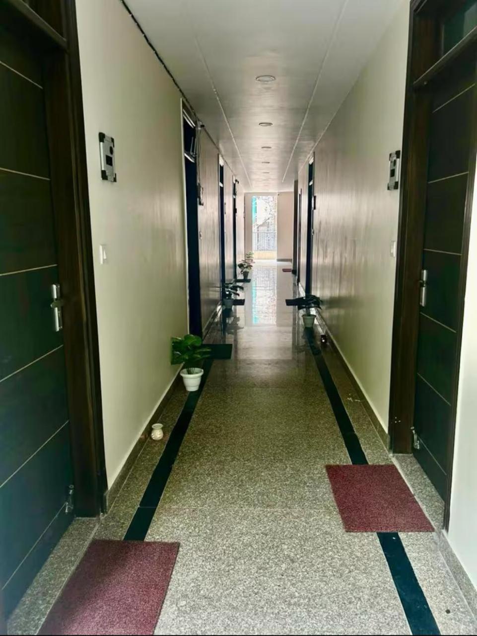 Chic To In South Delhi Apartment